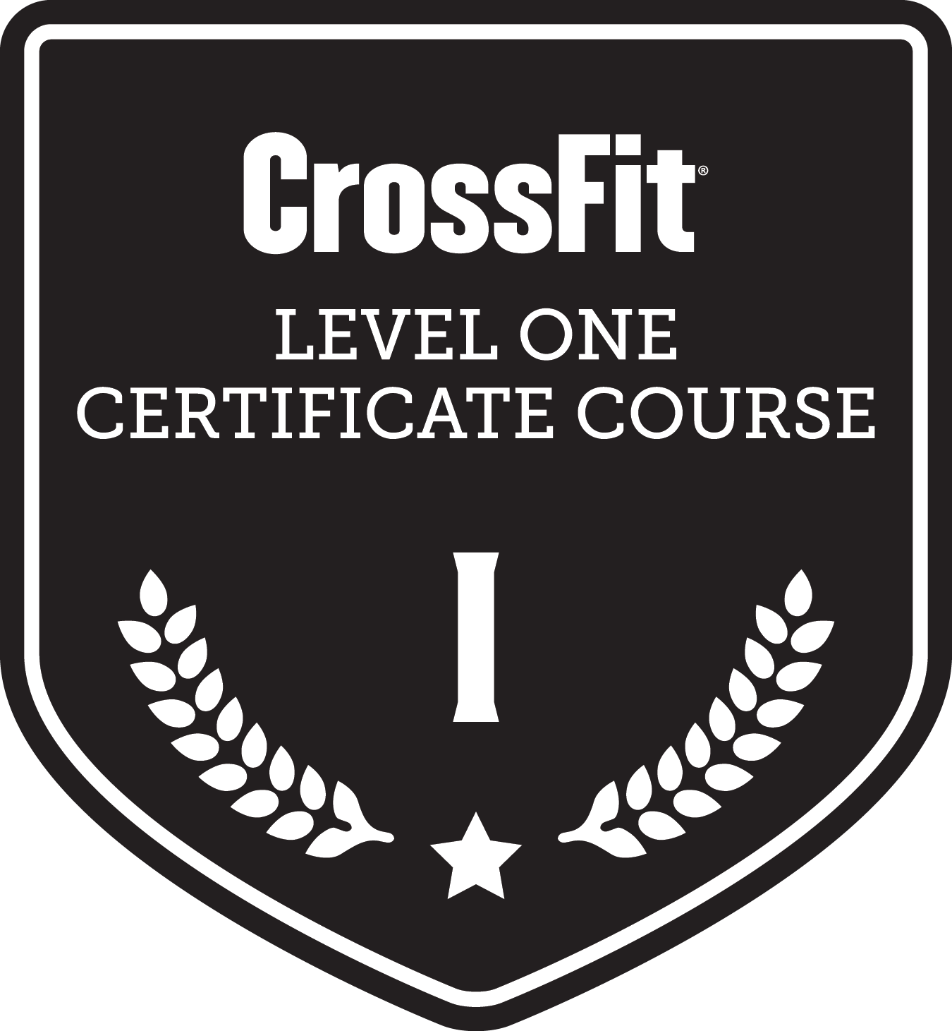 crossfit certification mauritius crossfit level one certificate course